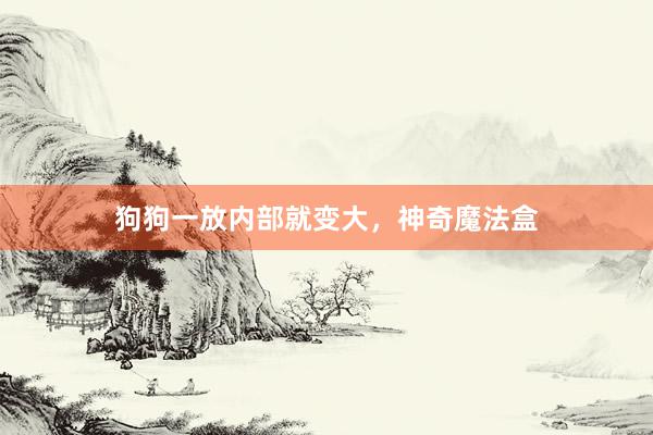狗狗一放内部就变大，神奇魔法盒